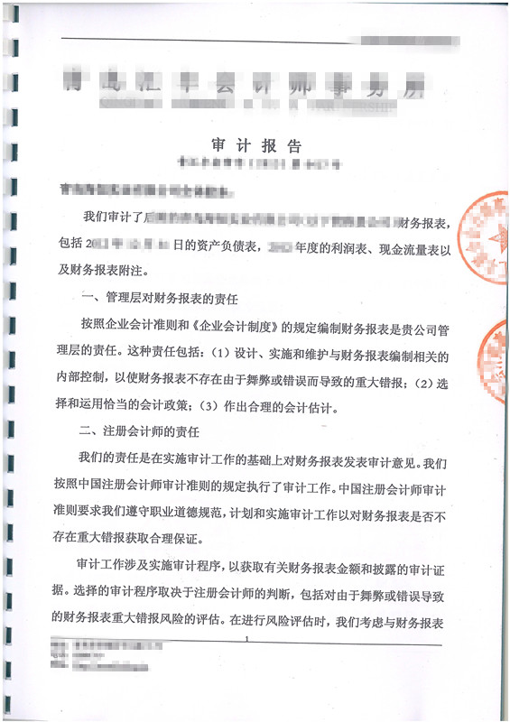審計報告翻譯