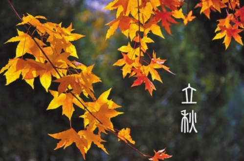 島城最美是立秋