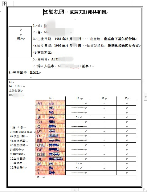 青島德國駕照翻譯