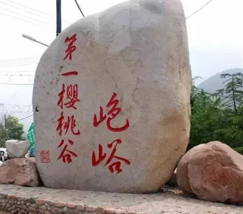 青島吃櫻桃