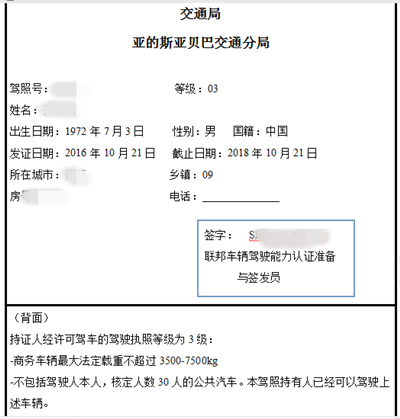 南非駕照翻譯模板