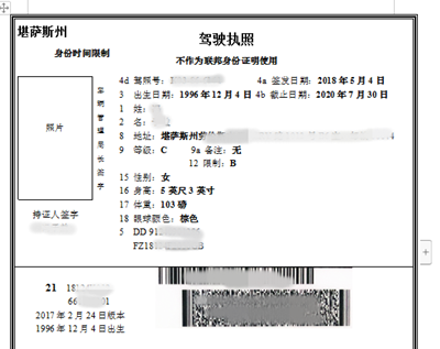 駕照翻譯模板