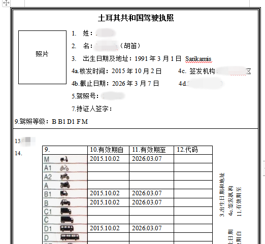 南非駕照翻譯模板