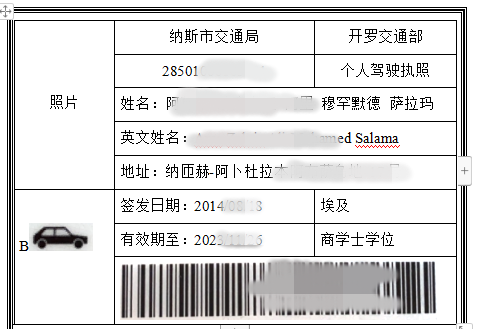 埃及駕照翻譯