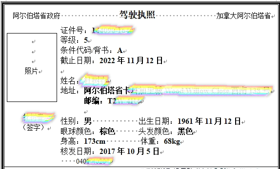 車管所備案翻譯公司